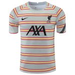 Tailandia Camiseta Liverpool Pre Match 2022 Gris Tailandia Camiseta Liverpool Pre Match 2022 Gris
