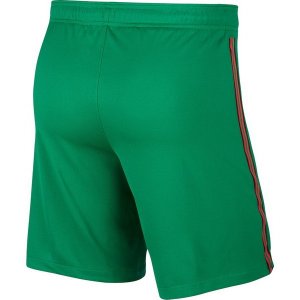 Primera Equipación Pantalones Portugal 2020 Verde