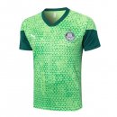 Camiseta Entrenamiento Palmeiras 2024/2025 Verde