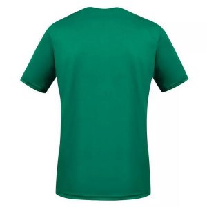 Primera Equipación Tailandia Camiseta Camerún 2021 Verde