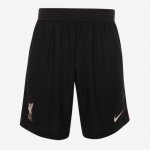 Segunda Equipación Pantalones Liverpool 2021/2022 Segunda Equipación Pantalones Liverpool 2021/2022