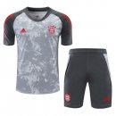 Camiseta Entrenamiento Bayern Conjunto Completo 2021/2022 Gris