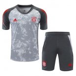 Camiseta Entrenamiento Bayern Conjunto Completo 2021/2022 Gris