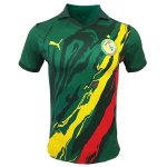 Tailandia Camiseta Senegal Edición Especial 2022/2023 Tailandia Camiseta Senegal Edición Especial 2022/2023