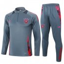 Sudadera De Training Alemania 2024/2025 Gris 3