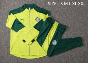 Chandal Palmeiras 2022 Verde