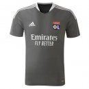 Camiseta Entrenamiento Lyon 2021/2022 Gris