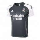 Camiseta Entrenamiento Real Madrid 2024/2025 Gris