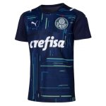 Tailandia Camiseta Palmeiras Portero 2021/2022 Azul Tailandia Camiseta Palmeiras Portero 2021/2022 Azul
