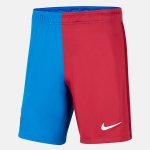 Primera Equipación Pantalones Barcelona 2021/2022 Primera Equipación Pantalones Barcelona 2021/2022