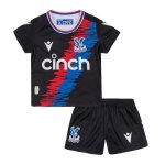 Camiseta Crystal Palace Tercera Equipación Niño 2022/2023 Camiseta Crystal Palace Tercera Equipación Niño 2022/2023