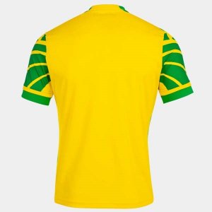 Primera Equipación Tailandia Camiseta Norwich City 2021/2022