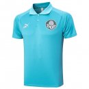 Polo Palmeiras 2023/2024 Azul