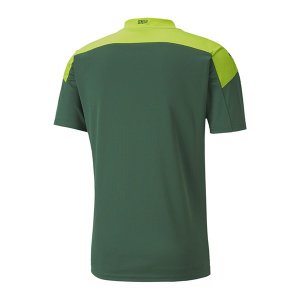 Primera Equipación Tailandia Camiseta Senegal 2020 Verde