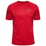 Tailandia Camiseta Denmark Primera Equipación 2022/2023 Rojo Tailandia Camiseta Denmark Primera Equipación 2022/2023 Rojo