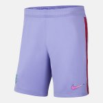 Segunda Equipación Pantalones Barcelona 2021/2022 Segunda Equipación Pantalones Barcelona 2021/2022