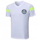 Camiseta Entrenamiento Palmeiras 2023/2024 Blanco