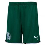Segunda Equipación Pantalones Palmeiras 2021/2022 Verde Segunda Equipación Pantalones Palmeiras 2021/2022 Verde