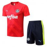 Camiseta Entrenamiento Palmeiras Conjunto Completo 2022/2023 Rojo