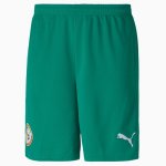 Segunda Equipación Pantalones Senegal 2020 Verde Segunda Equipación Pantalones Senegal 2020 Verde