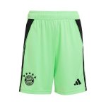 Pantalones Bayern Munich Portero 2025/2026 Verde Pantalones Bayern Munich Portero 2025/2026 Verde