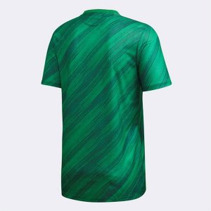 Primera Equipación Tailandia Camiseta Irlanda Norte 2020 Verde