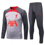 Sudadera De Training Liverpool 2022/2023 Gris