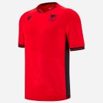 Tailandia Camiseta Albania Primera Equipación 2025 Tailandia Camiseta Albania Primera Equipación 2025